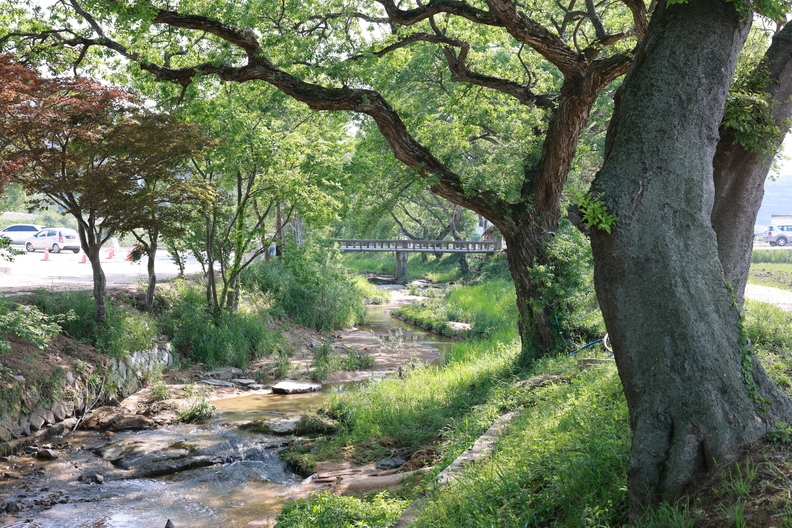 ⓒ고창군